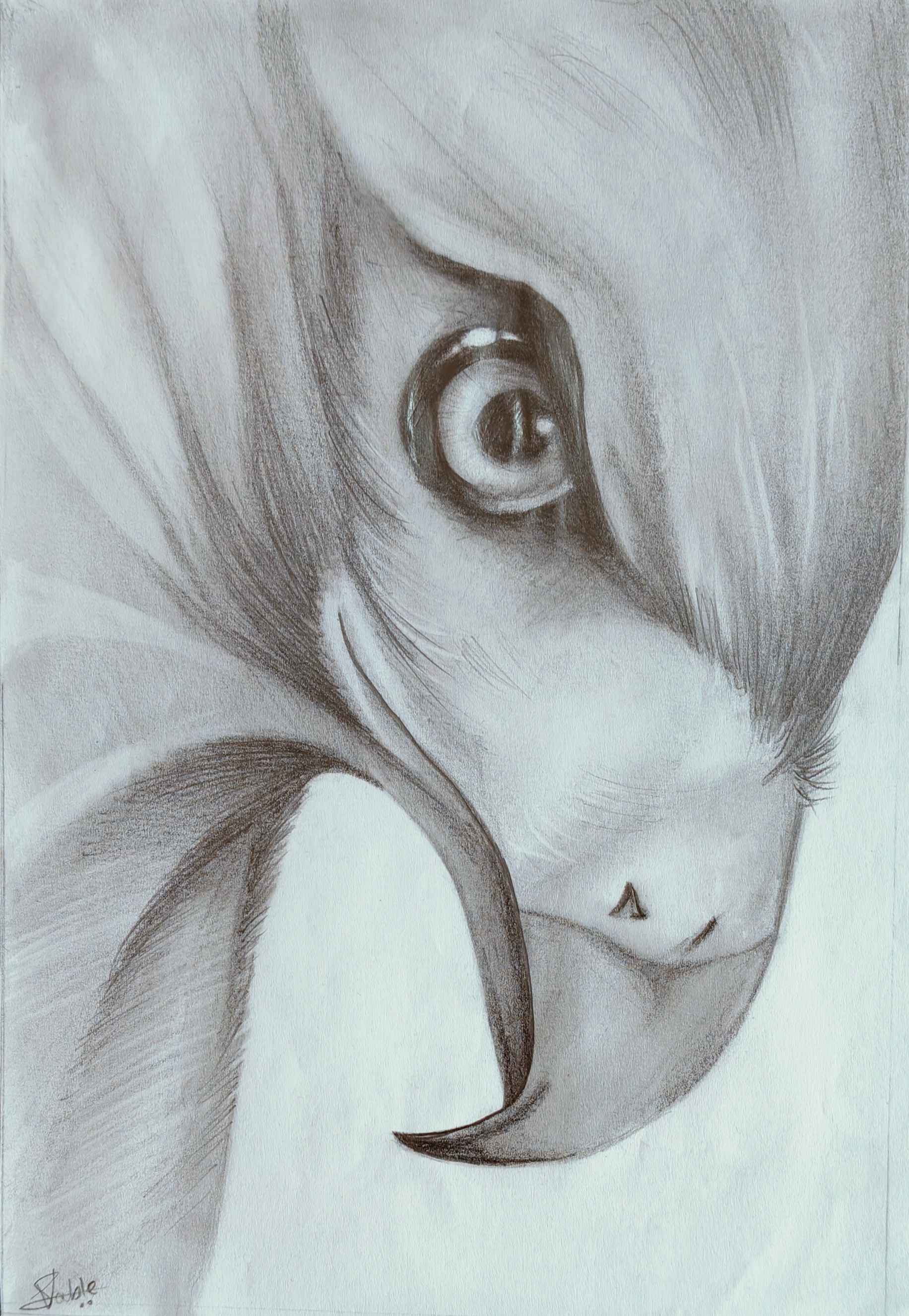 Art 1