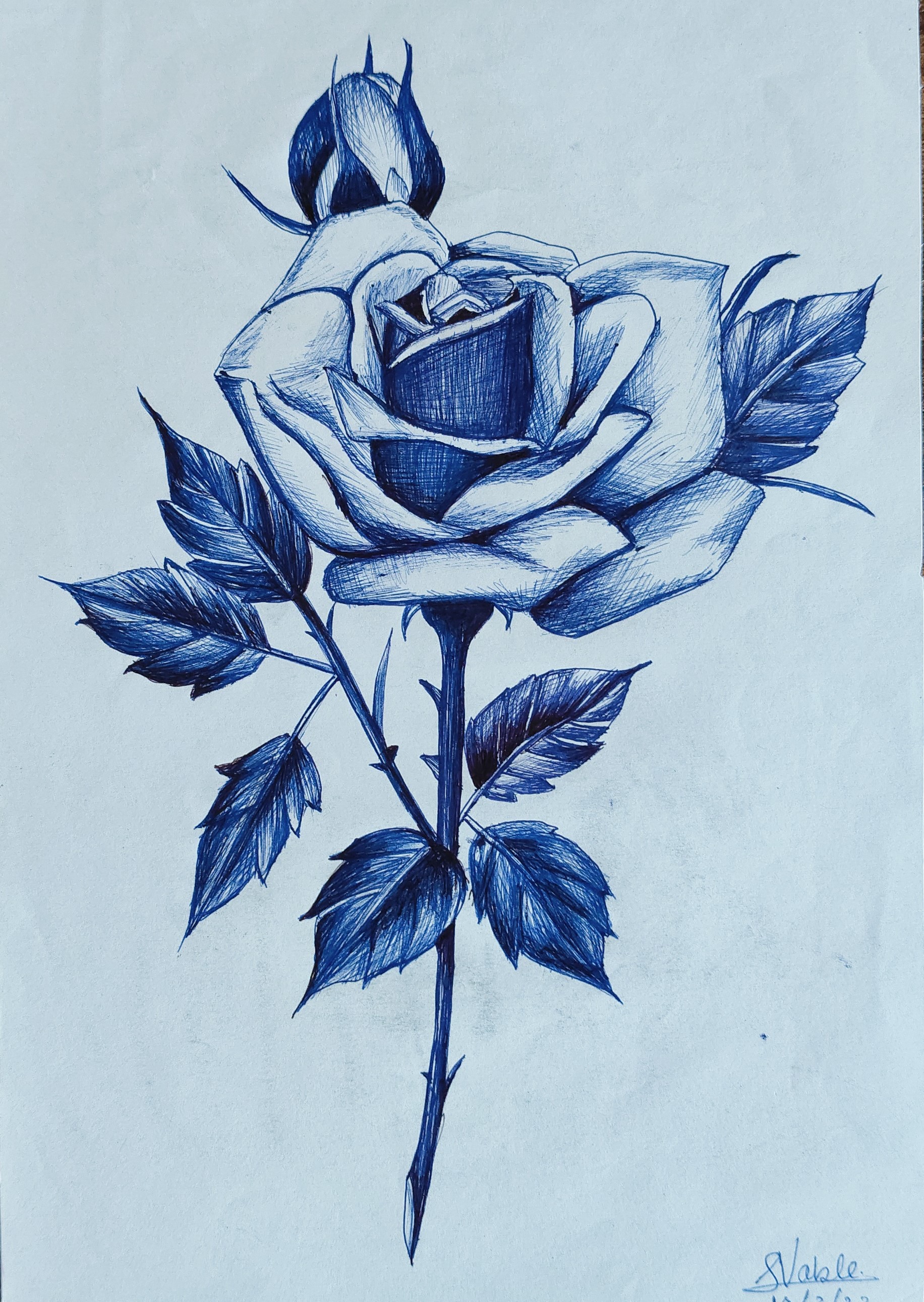 Art 1