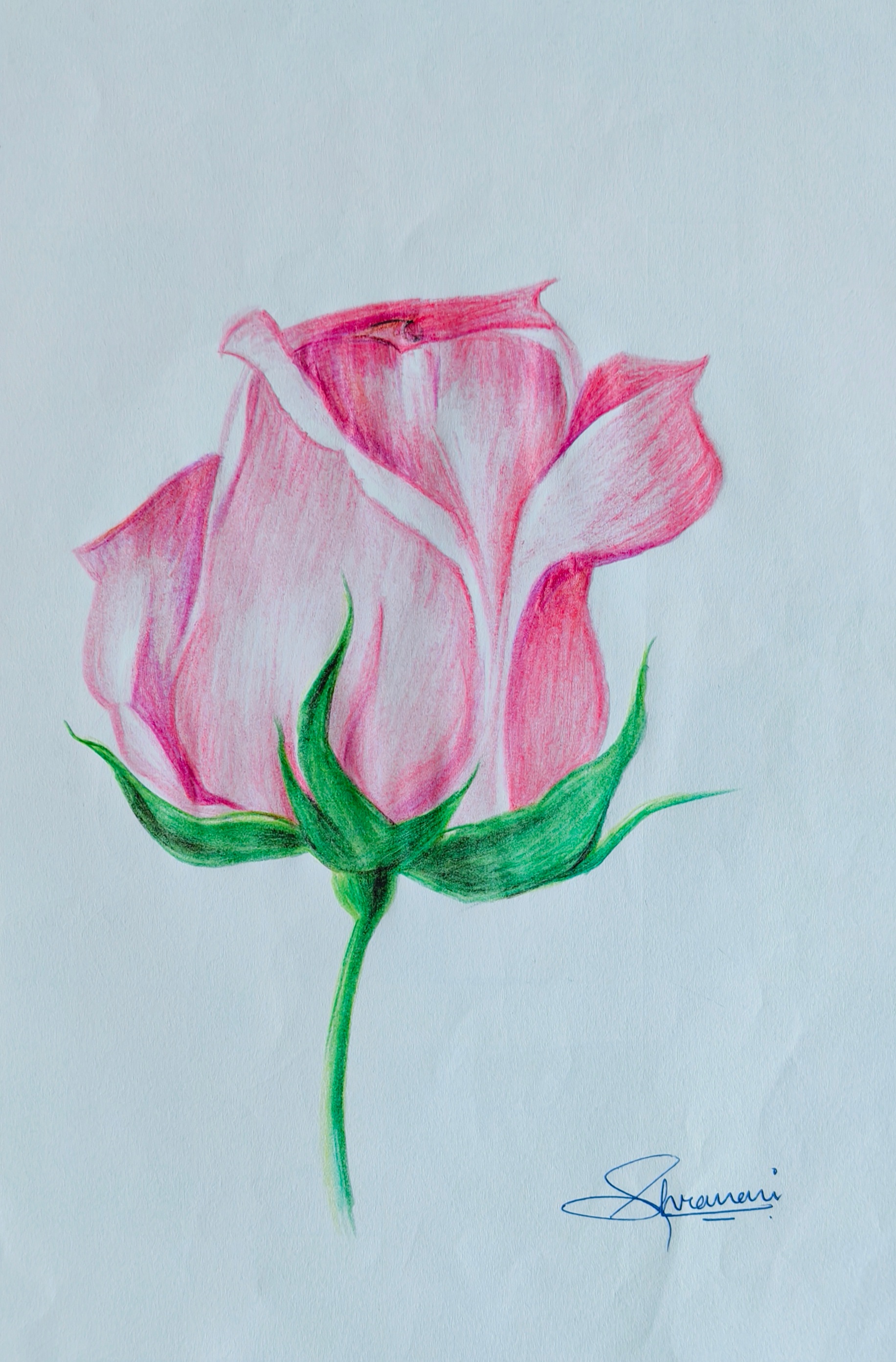 Art 1