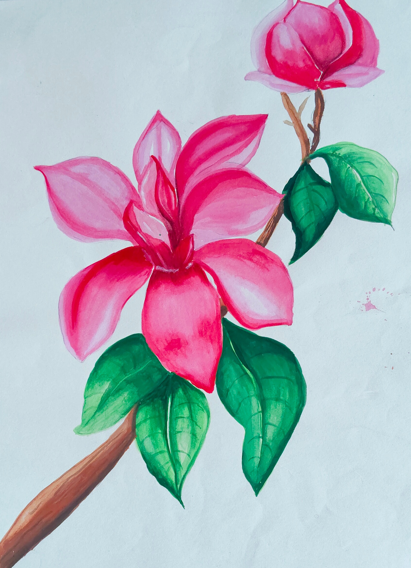 Art 2