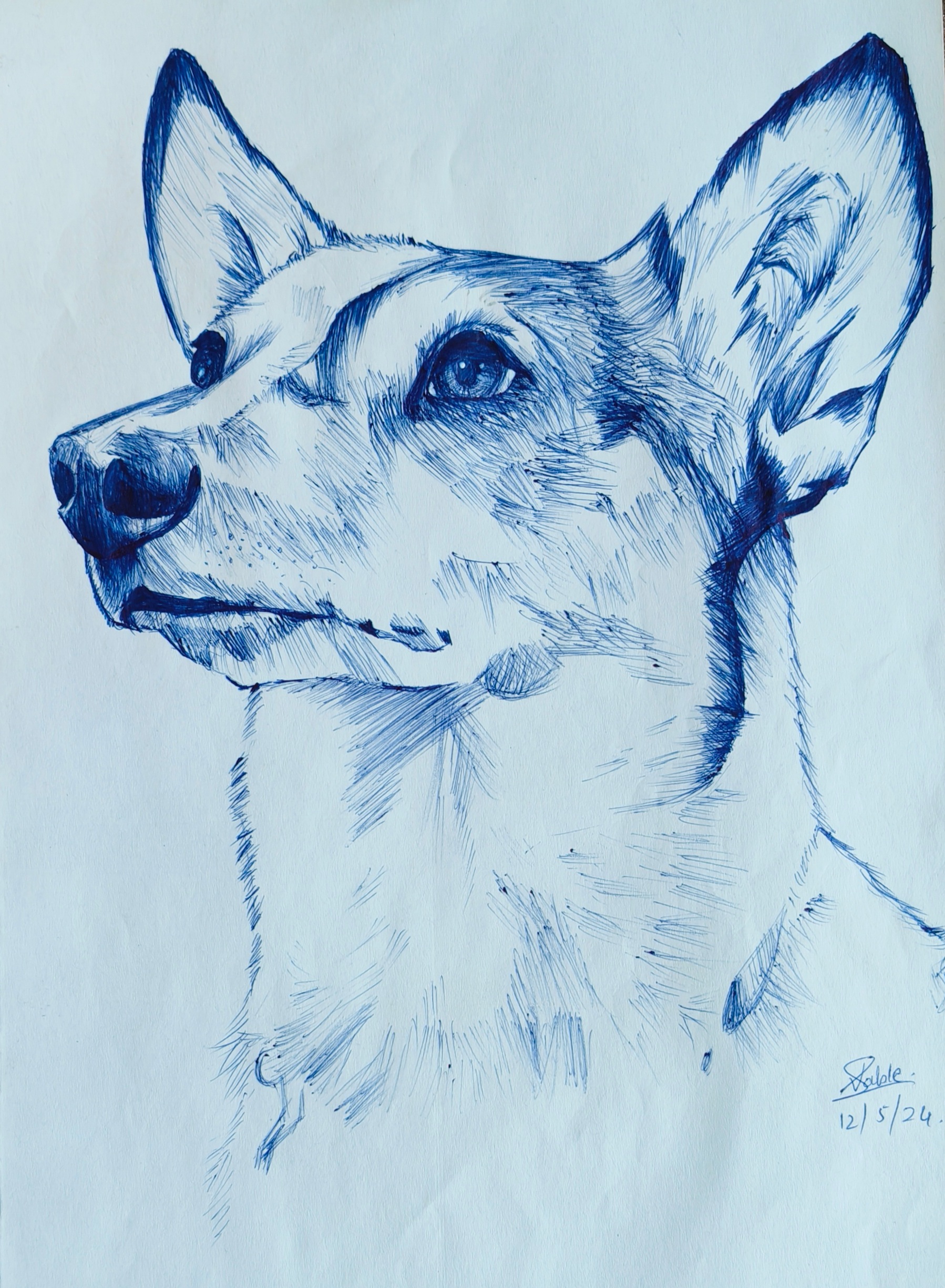 Art 2