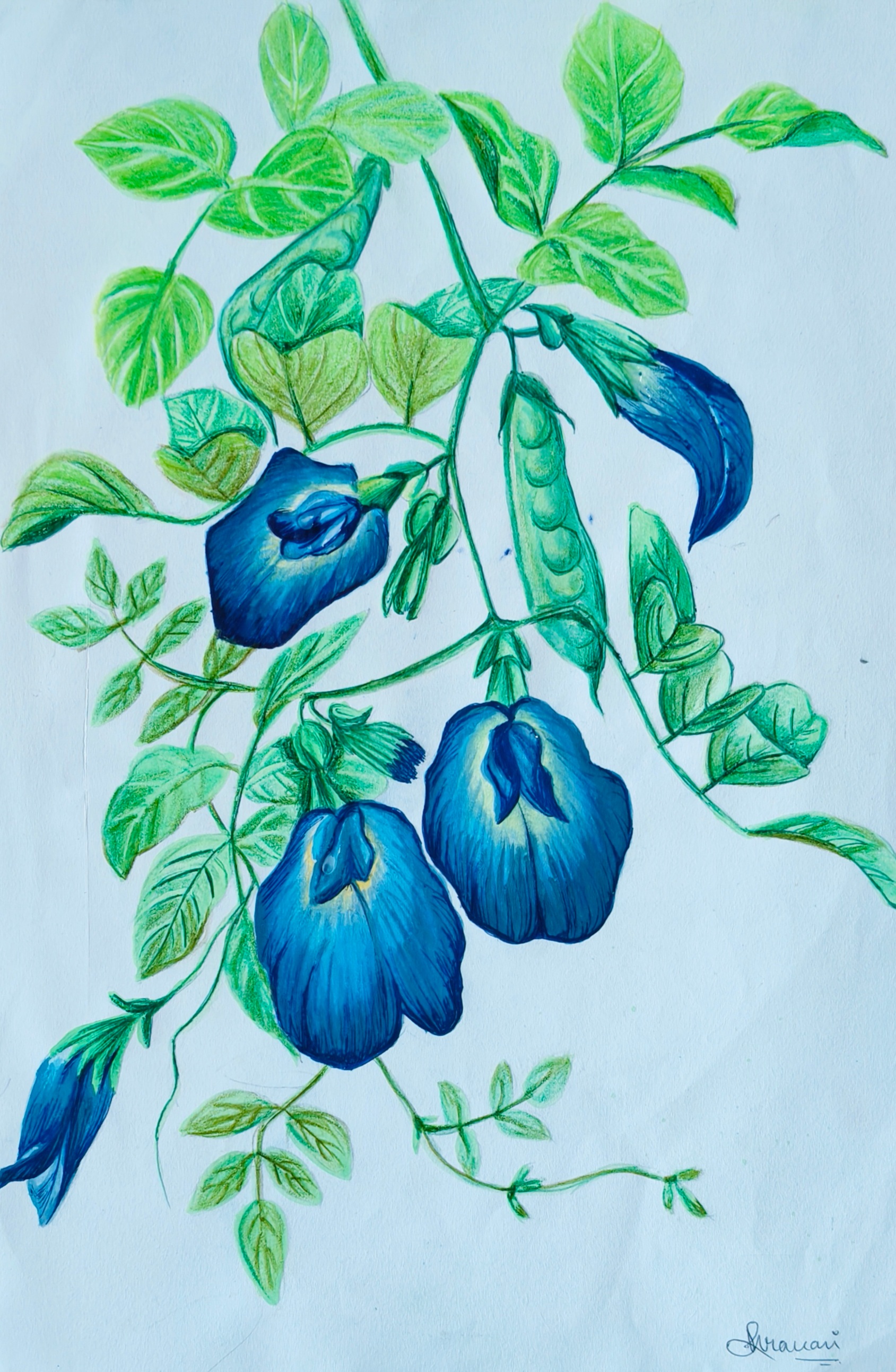 Art 1
