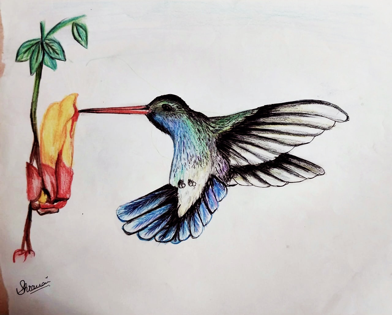 Art 2